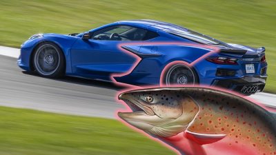 Corvette Salmon v2