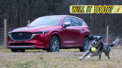 Mazda CX 5 Will It Dog Top