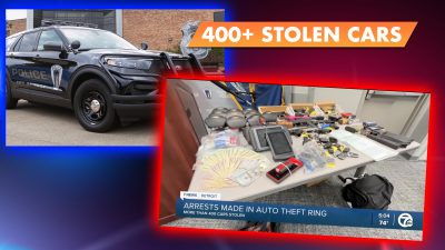 Michigan Stolen Car Ring