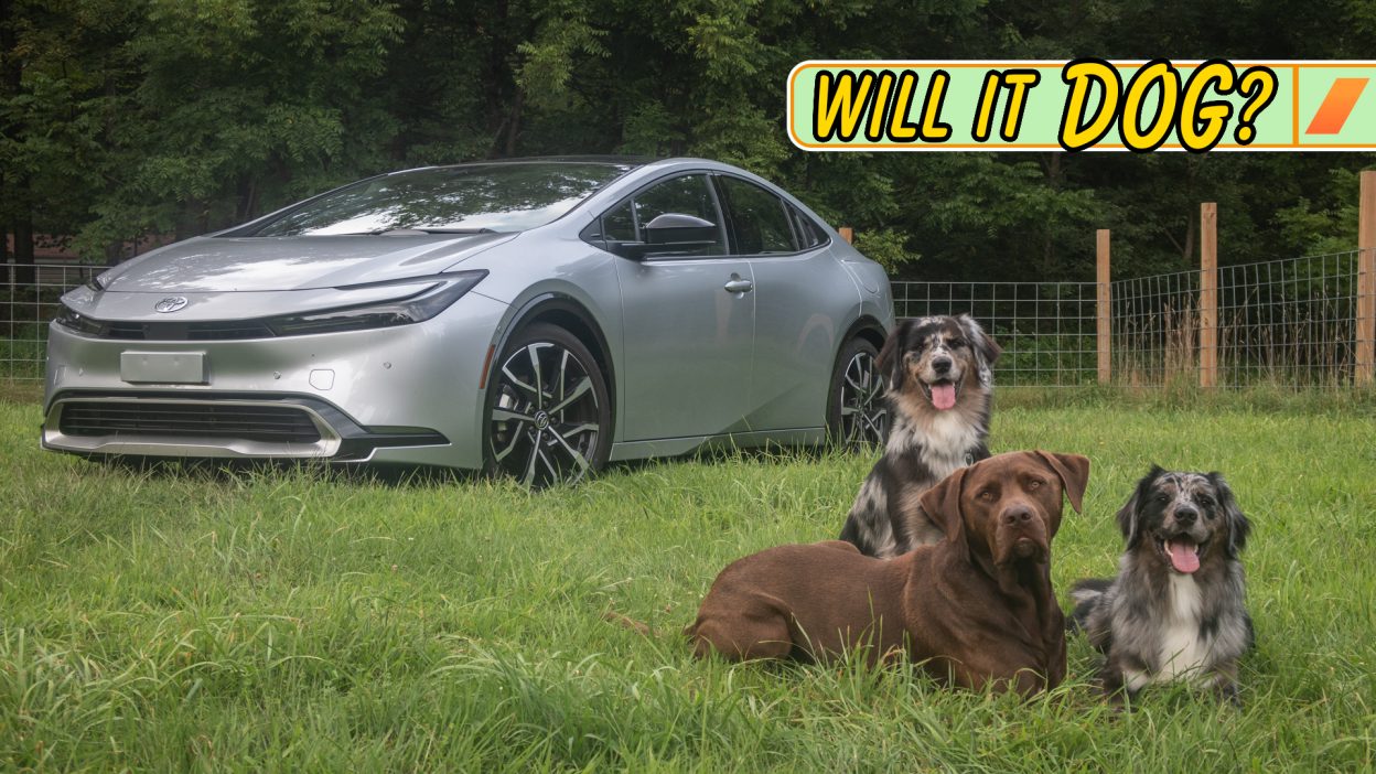 Toyota Prius Prime with Dogs