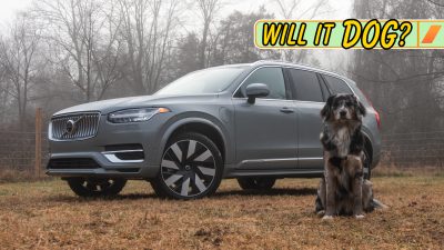 XC90 Will It Dog 1